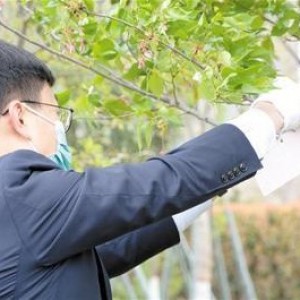 郑州福寿园推荐集体公益树葬